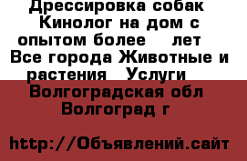 Дрессировка собак (Кинолог на дом с опытом более 10 лет) - Все города Животные и растения » Услуги   . Волгоградская обл.,Волгоград г.